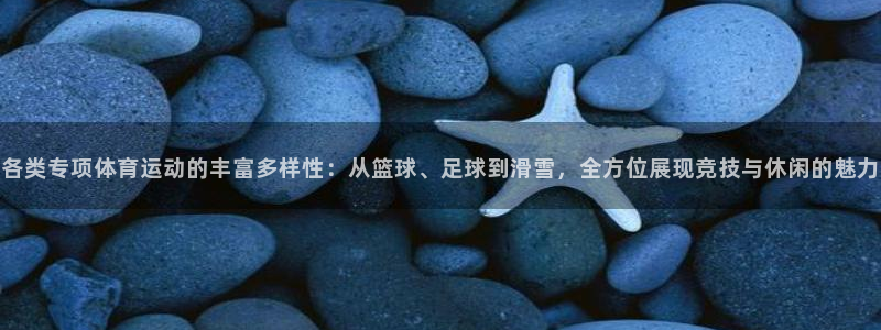3377体育平台