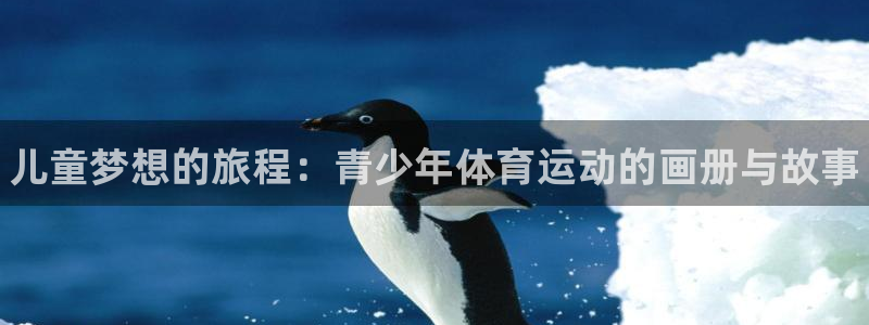 3377体育官网